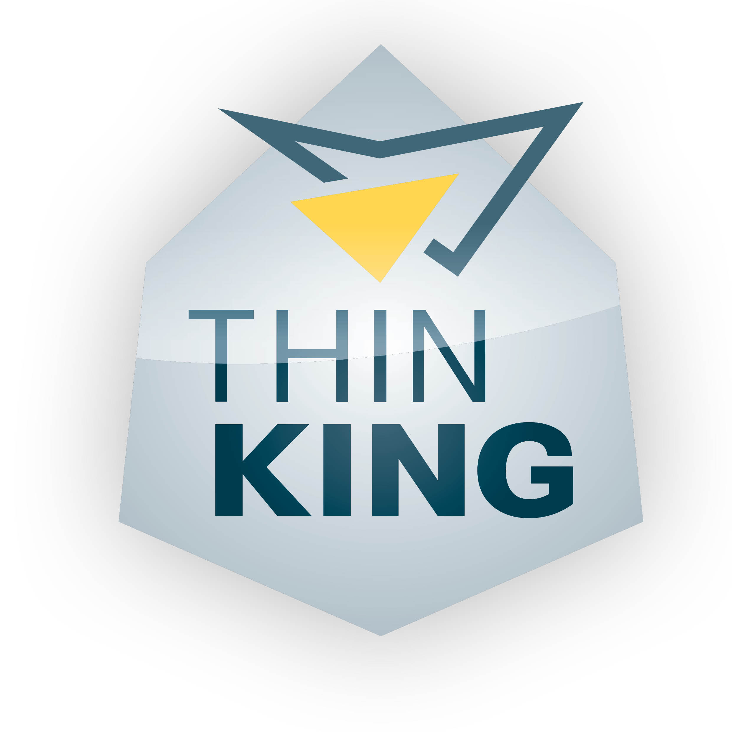 ThinKing Logo